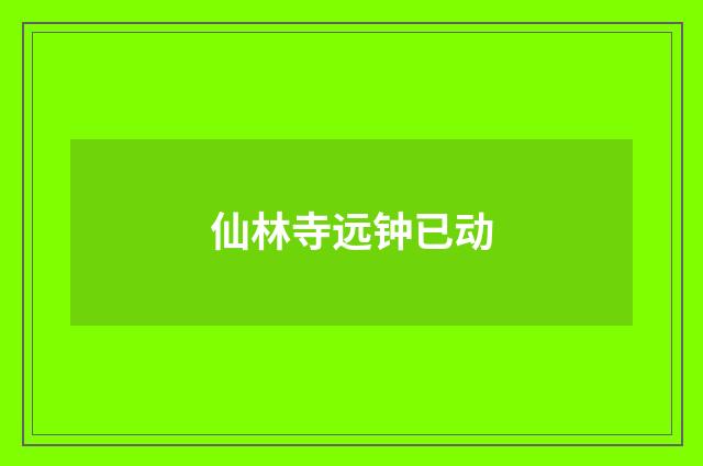 仙林寺远钟已动
