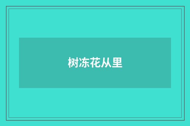 树冻花从里
