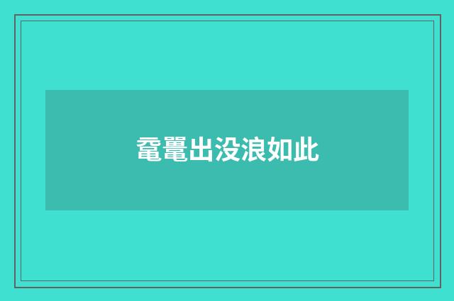 鼋鼍出没浪如此