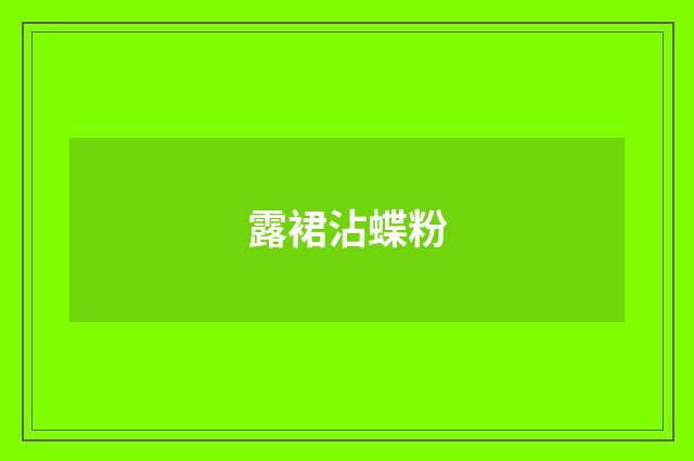 露裙沾蝶粉