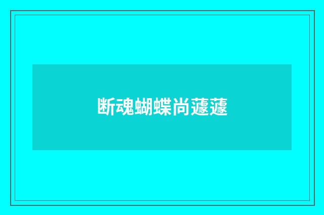 断魂蝴蝶尚蘧蘧