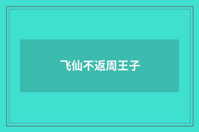 飞仙不返周王子
