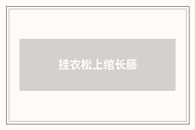 挂衣松上绾长藤