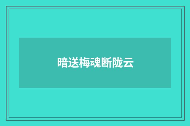 暗送梅魂断陇云
