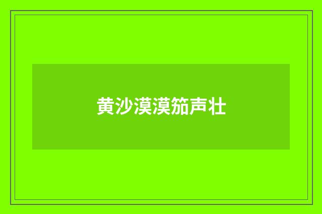 黄沙漠漠笳声壮