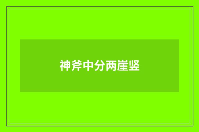 神斧中分两崖竖