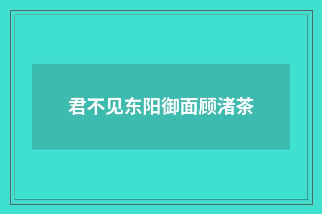 君不见东阳御面顾渚茶
