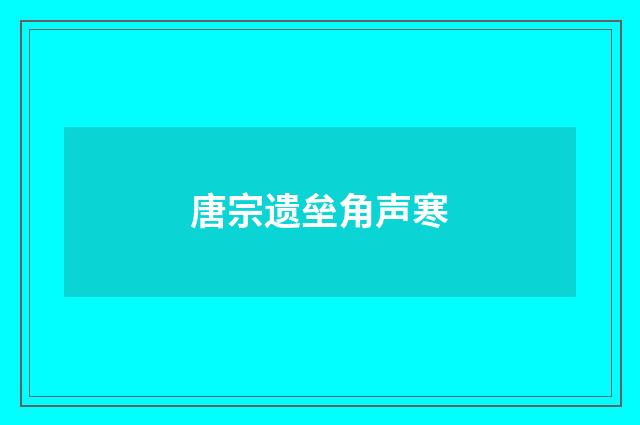 唐宗遗垒角声寒