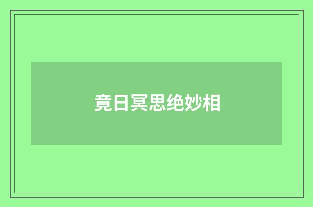 竟日冥思绝妙相