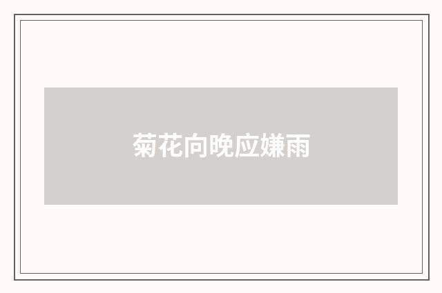 菊花向晚应嫌雨