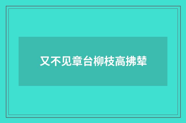 又不见章台柳枝高拂辇