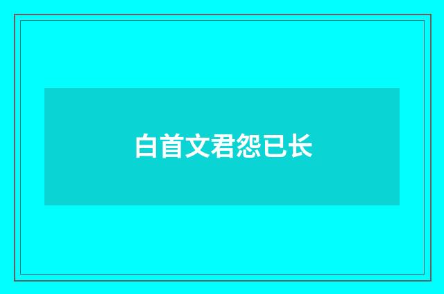 白首文君怨已长