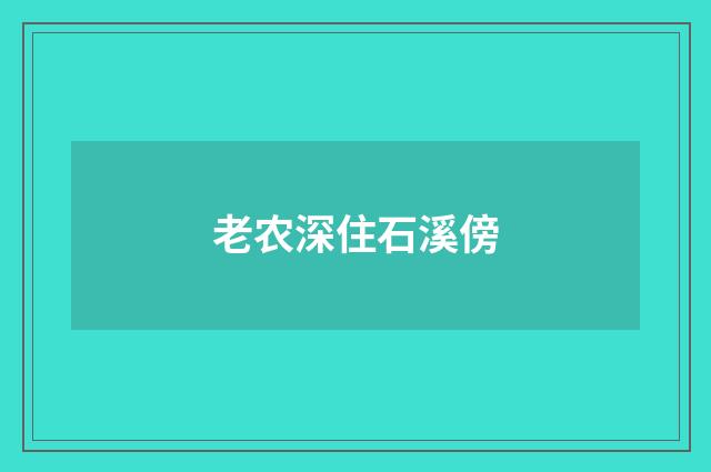 老农深住石溪傍