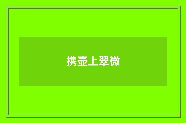 携壶上翠微