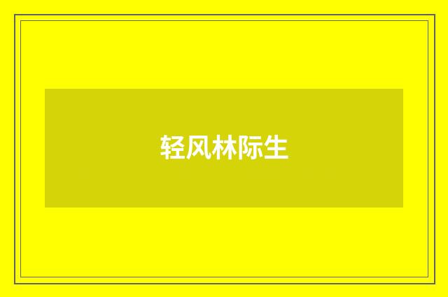 轻风林际生