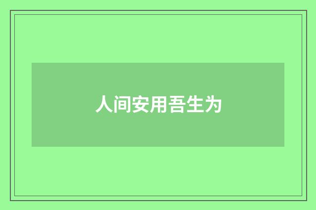 人间安用吾生为