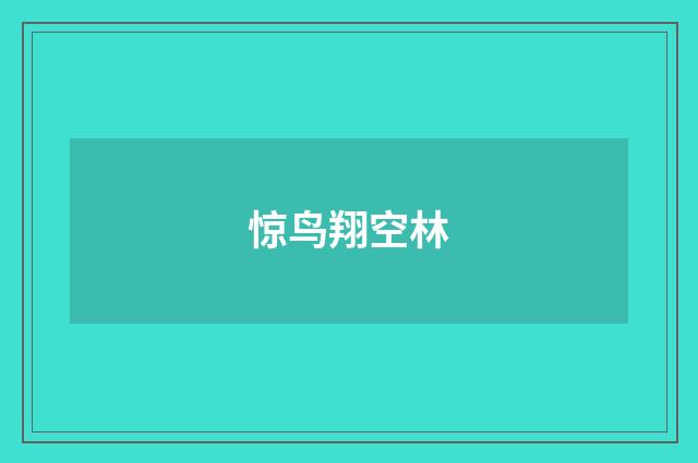 惊鸟翔空林