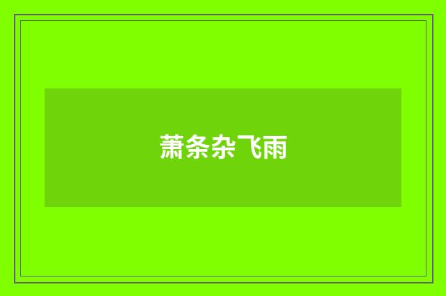 萧条杂飞雨