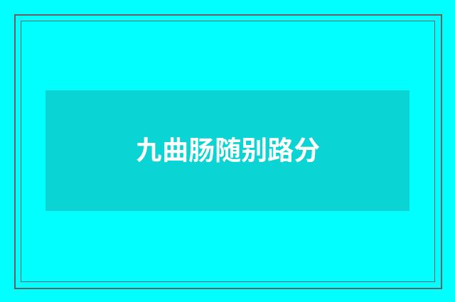 九曲肠随别路分