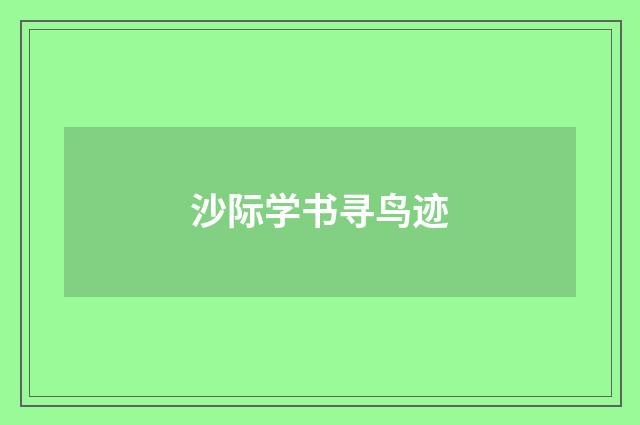 沙际学书寻鸟迹