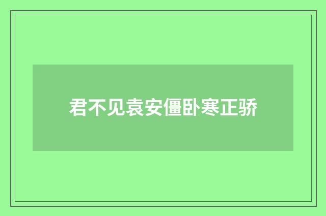 君不见袁安僵卧寒正骄
