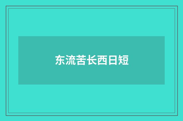 东流苦长西日短
