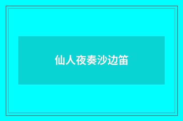 仙人夜奏沙边笛