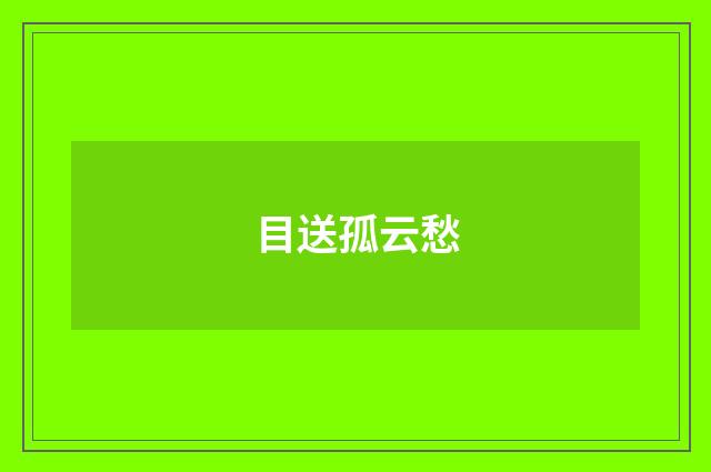 目送孤云愁