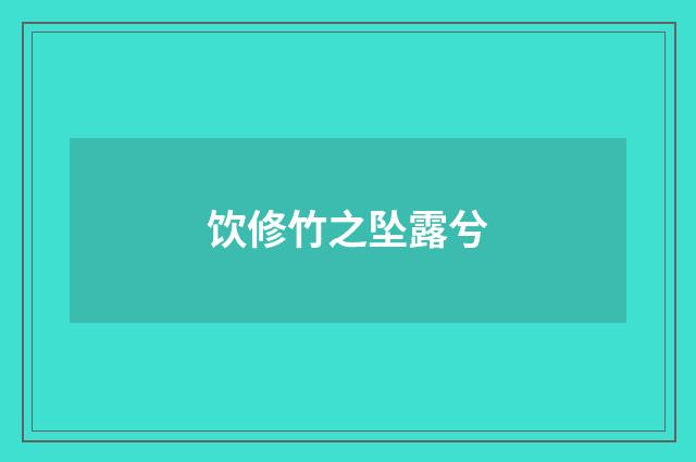 饮修竹之坠露兮