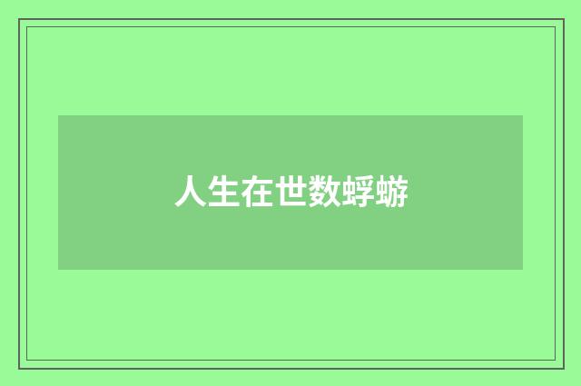 人生在世数蜉蝣