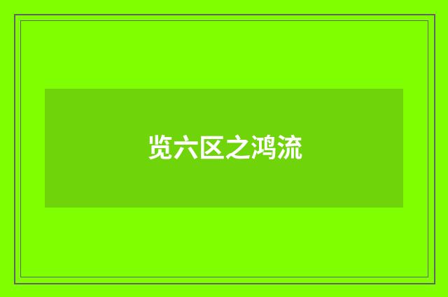 览六区之鸿流