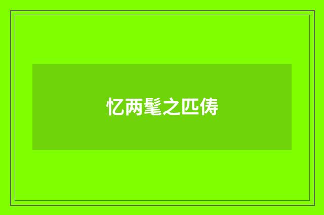 忆两髦之匹俦