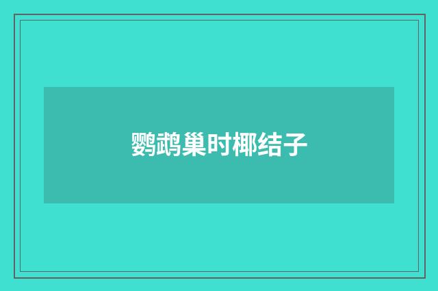 鹦鹉巢时椰结子