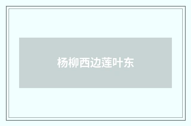 杨柳西边莲叶东