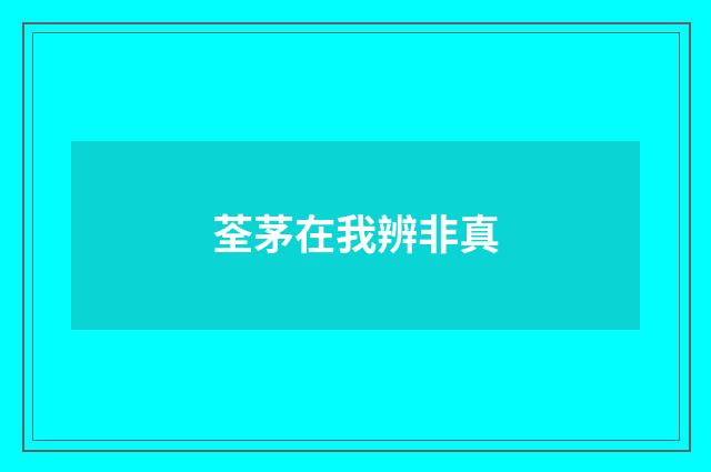 荃茅在我辨非真