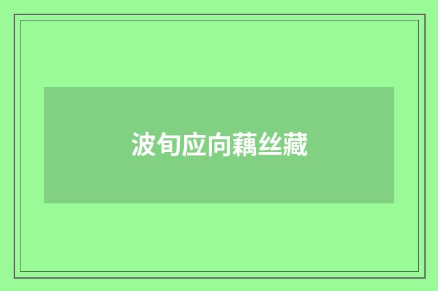 波旬应向藕丝藏