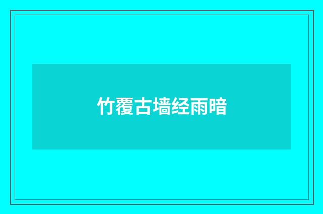 竹覆古墙经雨暗