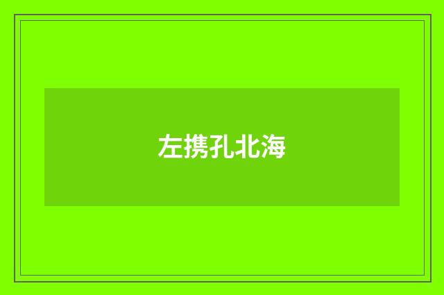 左携孔北海