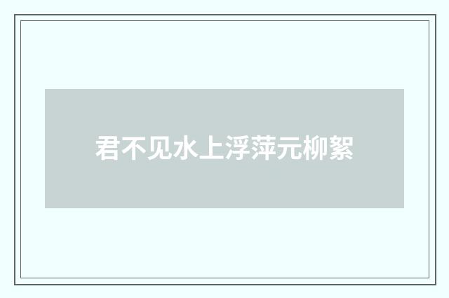 君不见水上浮萍元柳絮
