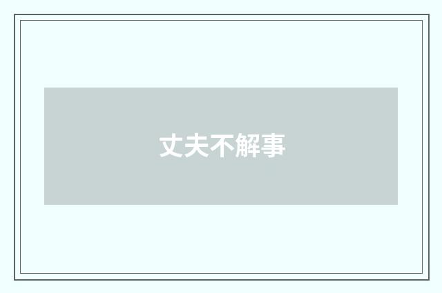 丈夫不解事