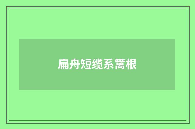 扁舟短缆系篱根