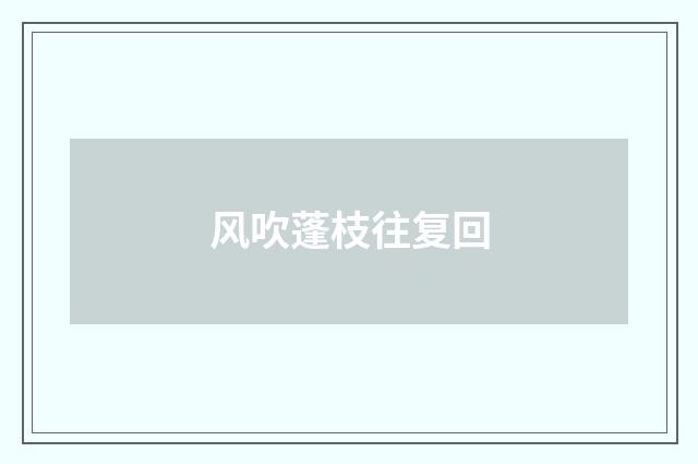 风吹蓬枝往复回