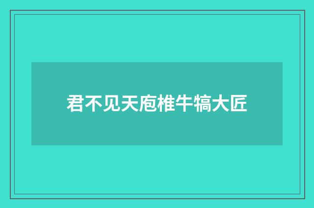 君不见天庖椎牛犒大匠