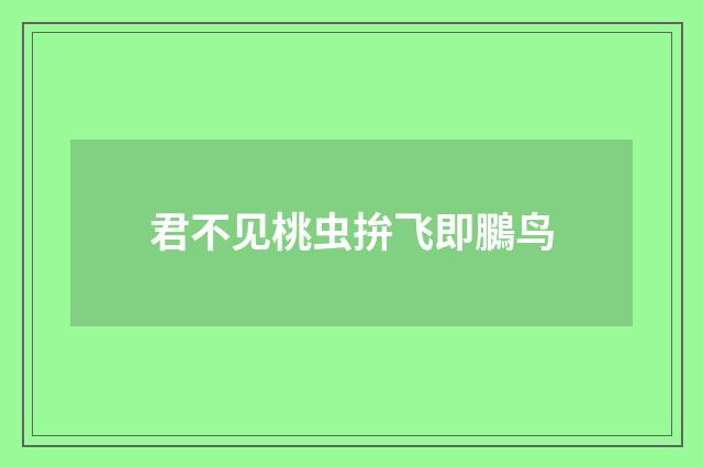 君不见桃虫拚飞即鵩鸟