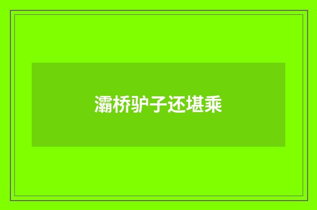 灞桥驴子还堪乘