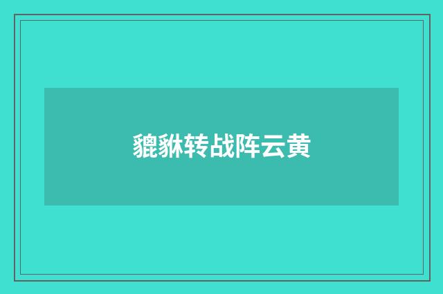 貔貅转战阵云黄