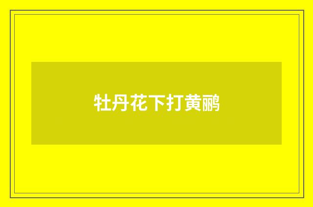 牡丹花下打黄鹂