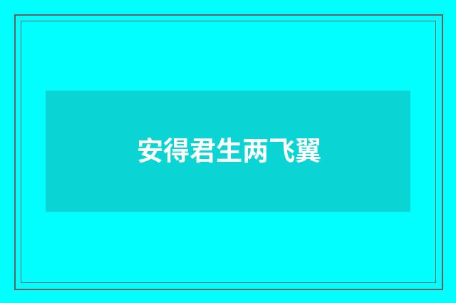 安得君生两飞翼