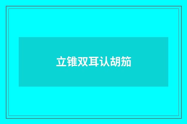 立锥双耳认胡笳