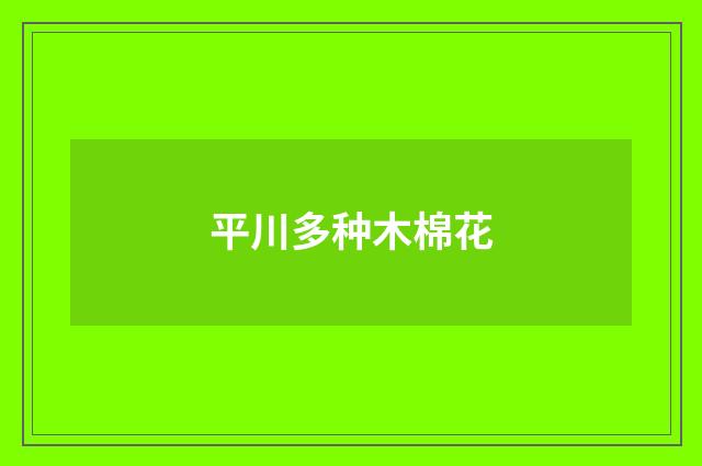 平川多种木棉花